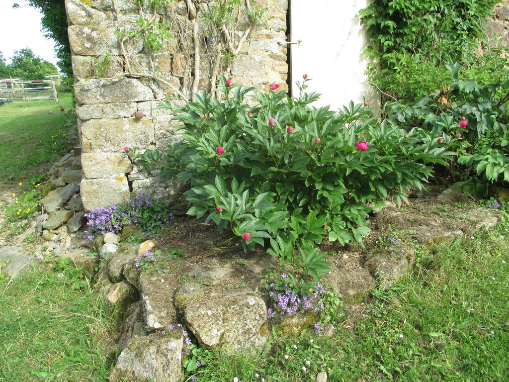 Bed and Breakfast Les sources à Poilley  Extérieur photo